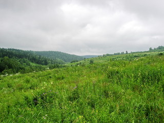 siberian summer landscape
