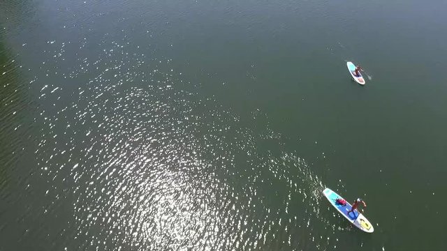 Aerial View of Paddle Borders on the Ladybird Lake in Austin, Tx