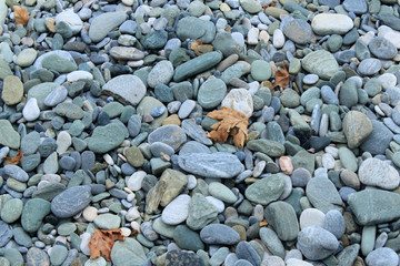 Pebbles on the seashore. Background, texture.