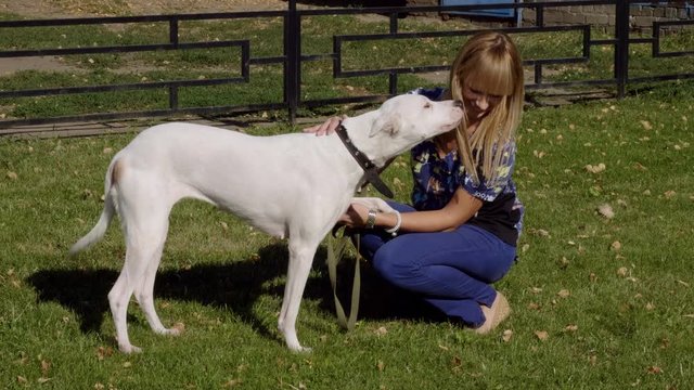 The vet walking with a purebred white dog on the lawn near veterinary clinic. 4K