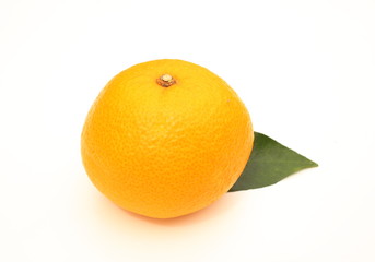 八朔