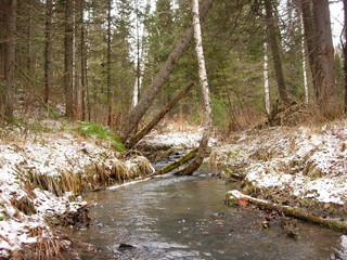 Autumn in siberia