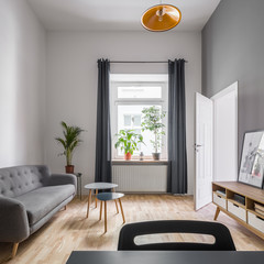 Living room in scandinavian style