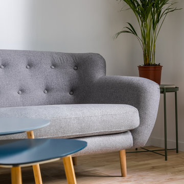 Gray couch in scandinavian style