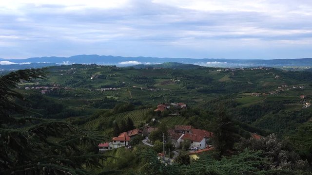 Villages Gonjace, Kojsko and Steverjan in Goriska Brda, with vineyards and orchards, zoom in on traditional houses of Gonjace early morning, trees moving in bora wind