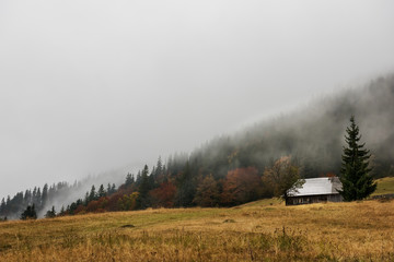 Fototapeta na wymiar autumn in the mountains. An old house and autumn trees against the backdrop of the mountains. Farmer's mountain view. 
