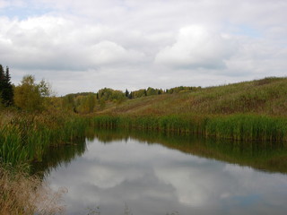 siberian autumn forest