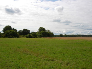 siberian autumn forest