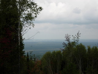 siberian autumn forest