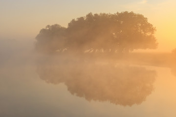 Trees on the river shore in fog at orange sunrise in sunny morning. River landscape in summer