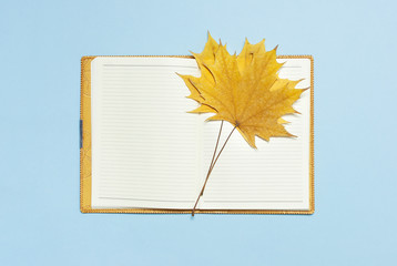 Open blank notebook with a yellow autumn maple leaf on blue background top view flat lay. Autumn concept, study, working table, workspace mockup.