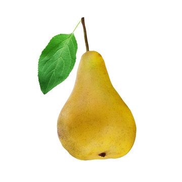 Large yellow pear with leaf