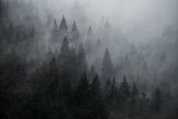 Fotobehang Mystic mistig bos in vintage stijl. Sparren in de mist op de berghelling. © Ann Stryzhekin