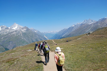 Fototapeta premium a hiking trail course to Jungfraubahn / ユングフラウへつづくトレッキングコース ＠スイス 