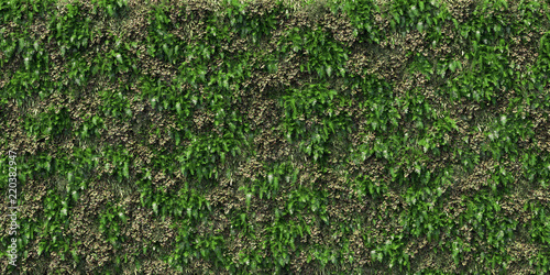 Giant Plant Wall Vertical Garden Seamless Stock Photo