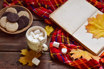 Cup of cocoa with marshmallow, chocolate cookie and peanut biscuit, blanket. Fall scene. Autumn relaxation, country lifestyle, relax or rural vacation. Hello September, October, November concept.