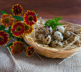 Wachteleier auf Stroh in einem Körbchen mit Petersilie, daneben Blumen