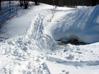 Obraz premium SNOWMOBILE