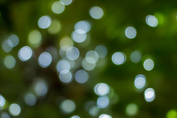 Obraz premium green Bokeh Background