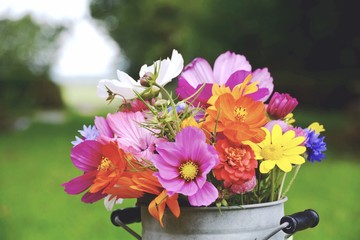 Grußkarte - Wildblumen Blumenstrauß 
