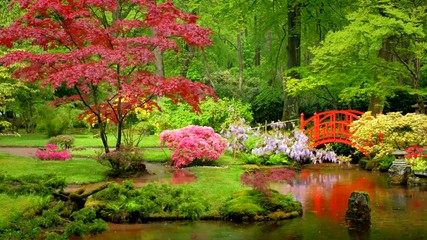 Japanese garden, Park Clingendael, The Hague, Netherlands