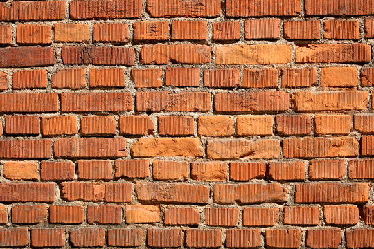 close up on a bricks wall