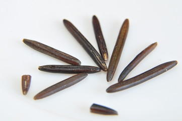 macro avec des graines de riz sauvage sur fond blanc