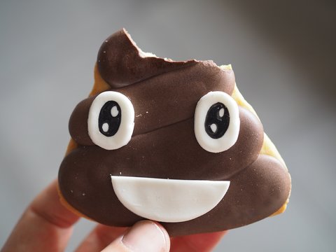 Biscotto al cioccolato cacca