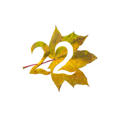 Fototapeta premium Figure 2 is cut from yellow maple leaf