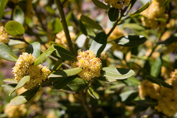 At Deplhi archeological site in Greece