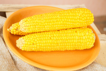 Photo of corn on yellow plate.