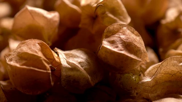 Extreme closeup of husk cherries rotation.