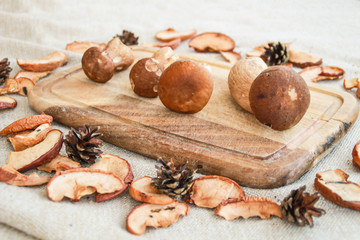 Thanksgiving and fall composition with mushrooms.