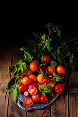 various types of tomatoes served and presented on the silver platter.