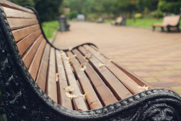 bench in the park