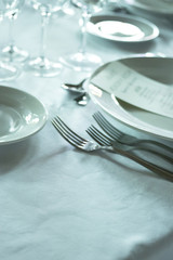 Wedding reception banquet dinner