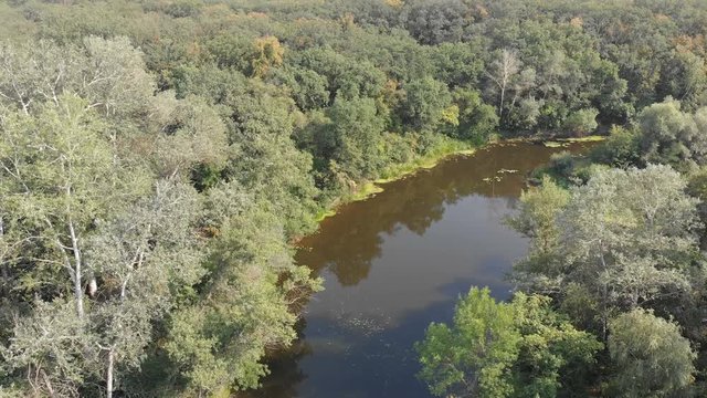 The river bed is a top view from the drone. The quadrocopter is flying over the river in the forest. Nature, green vegetation on the banks of the river. green reeds and trees. Small pond,flows. Summer