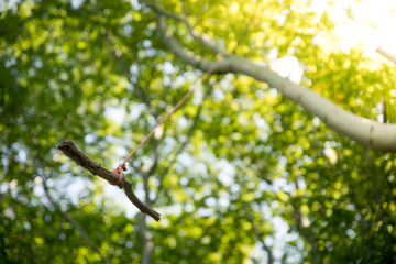 Selbst gebaute Schaukel in Wald, Spiel