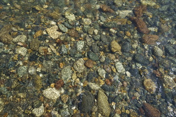 Image of the bottom of a mountain river.