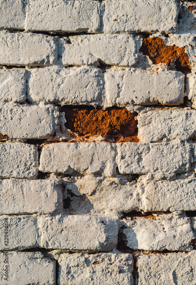 Wall mural brick wall texture