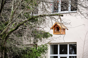 Bird feeders at the autumn trees