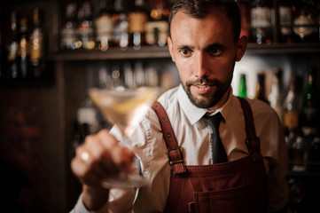 Attractive bartender holding a transparent cocktail in the martini glass