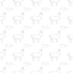 Lama seamless pattern. A beautiful realistic hand drawn sketch of alpaca or lama. Concept for background or print