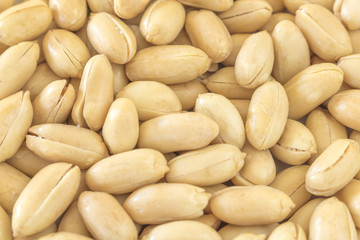 沢山のピーナッツ