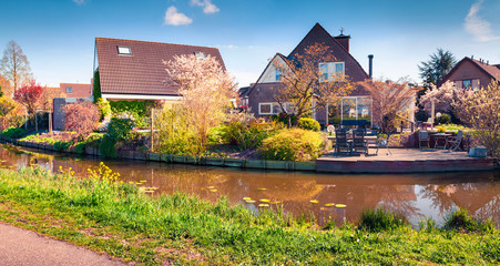 Naklejka na ściany i meble Sunny spring view of the typical Dutch countryside.