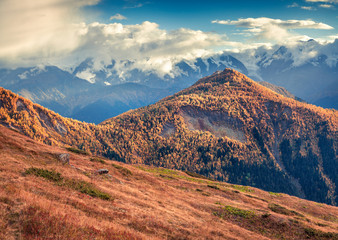 Obraz premium Colorful slopes in the Caucasus mountains.