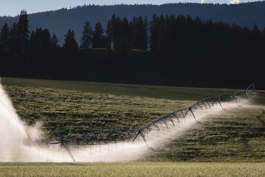 Green field in countryside