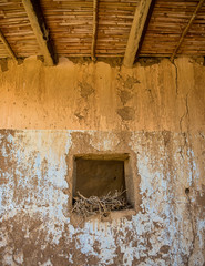 Abandoned Raptor Nest