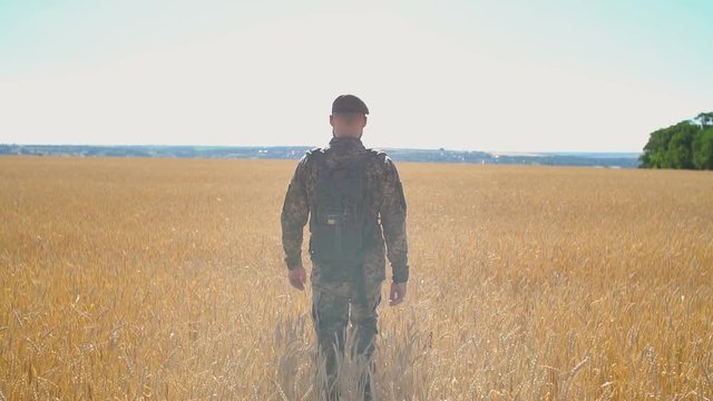 A Soldier Returning Home Touches The Tops Of Some Wheat In A Wheat Field At Sunset. 