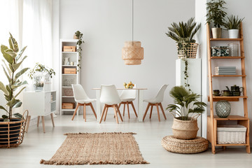 Rug and plants in natural bright dining room interior with white chairs and table under lamp. Real photo